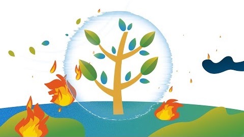 climate-friendly-travel-services